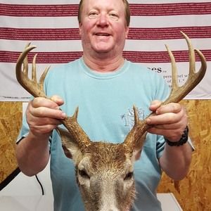 Meet your Posher, Laurie